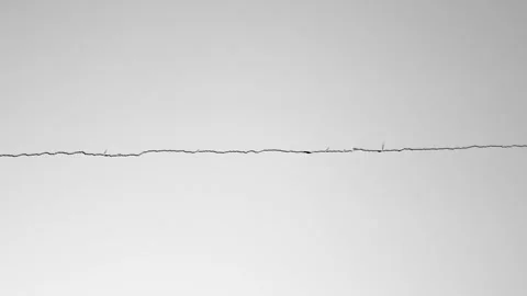 Crack in the plaster, a cracked white wall. Whitewashed wall, a damaged ceiling Stock Footage 318849785