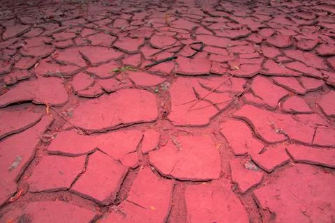 Crack river red sand background texture Stock Photos