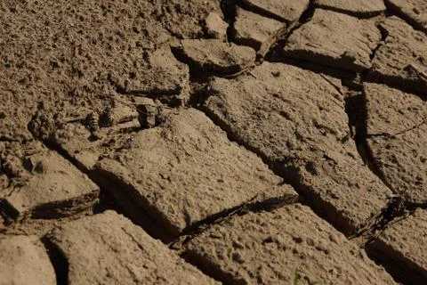 Crack river sand background texture 스톡 사진