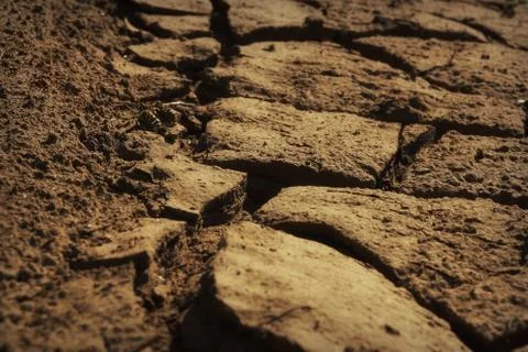 Crack river sand background texture 스톡 사진
