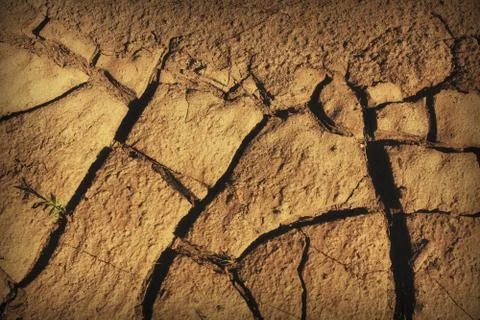 Crack river sand background texture 스톡 사진