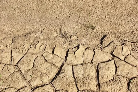 Crack river sand background texture Stock Photos