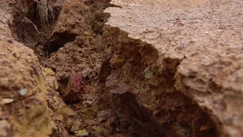 Crack in the rock 스톡 동영상 138865751