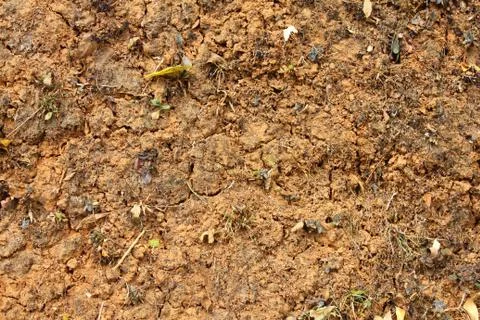 Crack soil Stock Photos