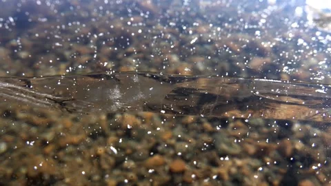 Crack in thick transparent ice layer on frozen lake - Water Droplets and Scenic Stock Footage 339560424