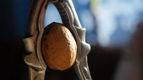 Crack the walnut with a nutcracker. Slow motion. Close-up Stock Footage 168355965