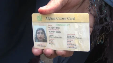 Crackdown begins against illegal migrants as deadline to leave Pakistan expi... Video stock 254885087