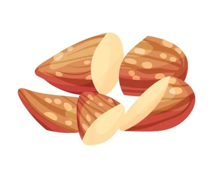 Cracked Almond Kernel Without Nutshell Vector Illustration. Organic Food Stock Illustration