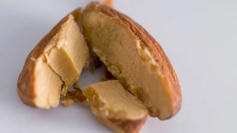 Cracked Almond Shell Close-Up Shot 4k Stock Footage 338264892