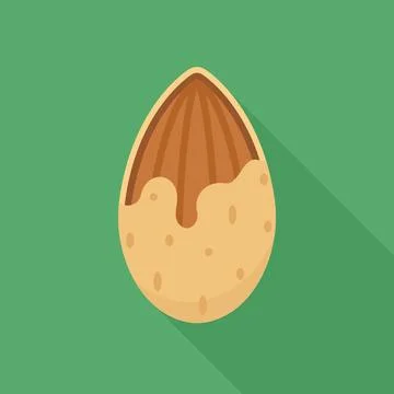 Cracked Almond with Shell Flat Vector Illustration イラスト素材