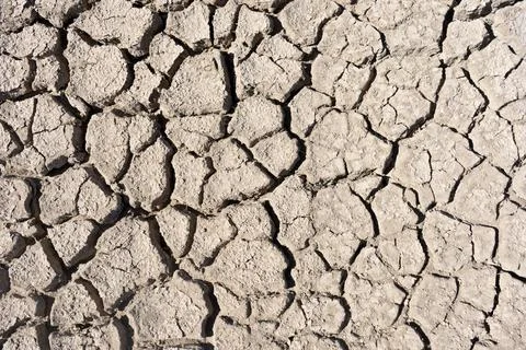 Cracked and Desolate: A Close-Up of a Dry Surface Stock Photos