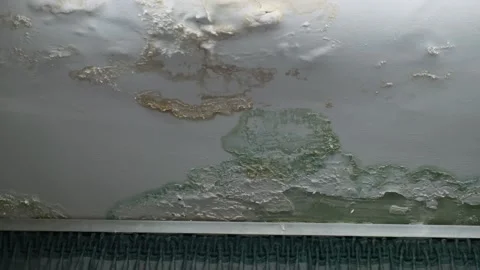 Cracked and Peeling Ceiling with Mold and Water Stains from Prolonged Leakage Stock-Footage 300953230