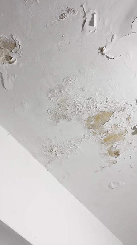 Cracked and peeling wall or ceiling due to moisture or wet pipe or leakage in Stock Footage 333936131