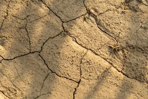 Cracked arid soil texture background. Texture of the earth during drought.  Stock Photos