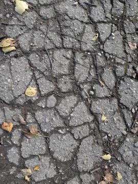 Cracked Asphalt Surface Texture. Worn asphalt strewn with dry twigs. Stock Photos