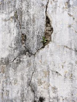 Cracked Background 写真素材