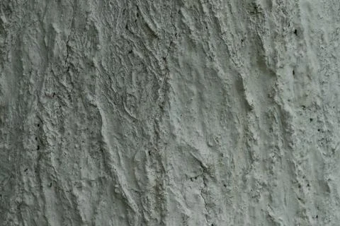 The cracked bark of an old large tree. Stock Photos