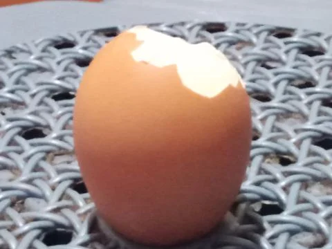 Cracked boiled egg Stock Photos