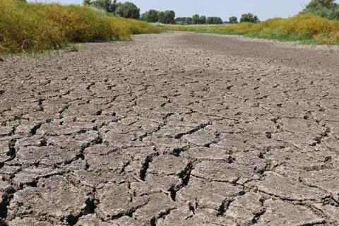 Cracked bottom of a dry river. Stock Photos