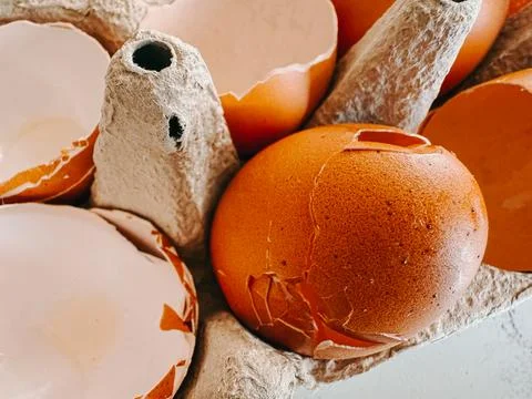 Cracked Brown Egg and Eggshells in Carton Close-Up Stock Photos