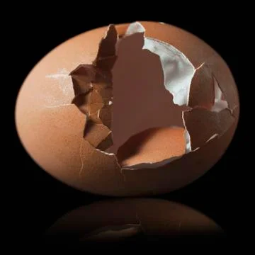 Cracked brown egg shell Illustrazione stock