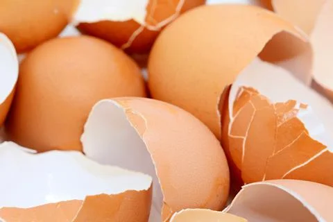 Cracked brown egg shells closeup 库存照片
