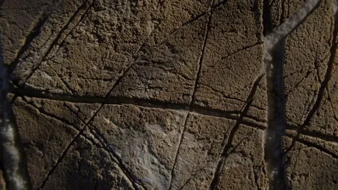 Cracked Brown Rock Surface Close-Up Stock Footage 289083820