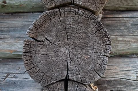 Cracked butt-edge of old log Foto stock