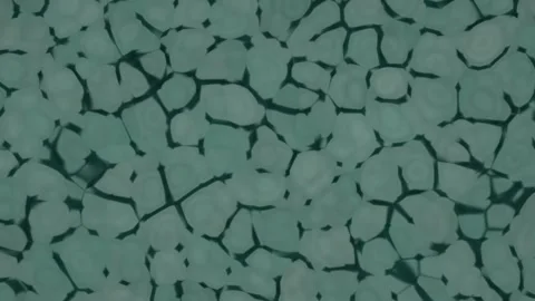 Cracked cellular pattern forms and shifts across greenish-blue abstract backgrou Stock Footage 330060850