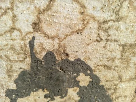 Cracked Cement Surface and Rustic Grunge Pattern Stock Photos