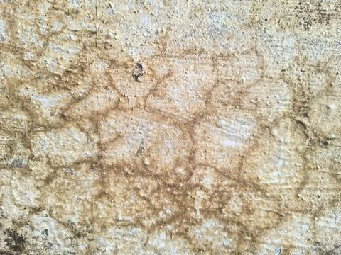 Cracked Cement Surface and Rustic Distressed Grunge Pattern Stock Photos