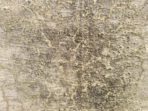 Cracked Cement Surface and Rustic Grunge Pattern Stock Photos