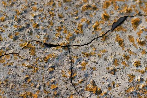 Cracked cement texture with old spots of yellow paint Stock Photos