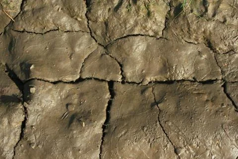 Cracked clay background Stock Photos