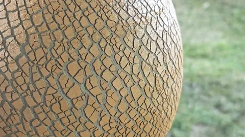 Cracked clay pot with green grass background. Stock Footage 341336081