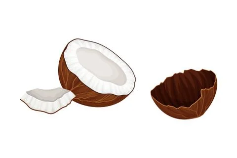 Cracked Coconut with Hard Shell and Fibrous Husk Showing White Inner Flesh Illustrazione stock