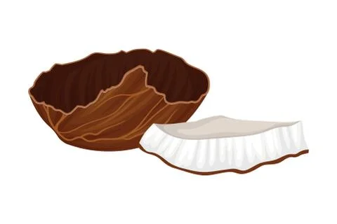 Cracked Coconut with Hard Shell and Fibrous Husk Showing White Inner Flesh Illustrazione stock