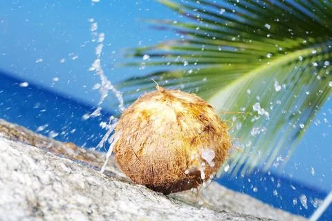 Cracked coconut view of coconut getting cracked against shore boulder Copy... Stock Photos
