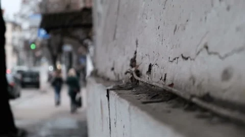 Cracked collapsed wall. Crack in the Foundation of an old house closeup Stock Footage 168495910