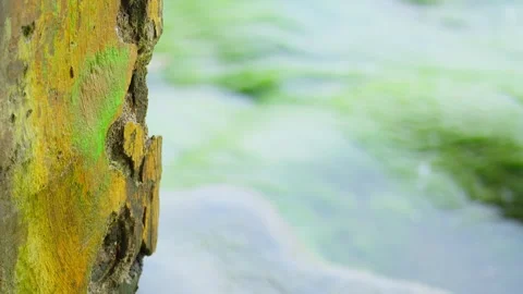 Cracked Concrete Structure with Ocean Waves in the Background Stock Footage 313093471