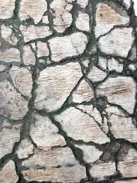 Cracked Concrete Surface with Moss Growing Between Them Stock Photos