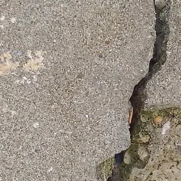 Cracked Concrete Surface Texture Close Up Foto stock