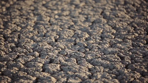 Cracked desert floor texture Stock Footage 92373638