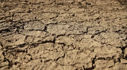 Cracked Desert Ground Stock Footage 31750890