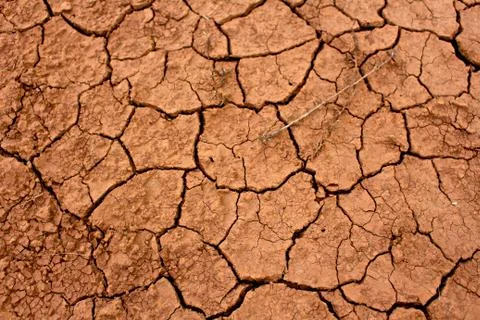 Cracked Desert Stock Photos