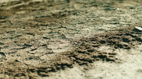 Cracked desert soil close up Stock Footage 67549683