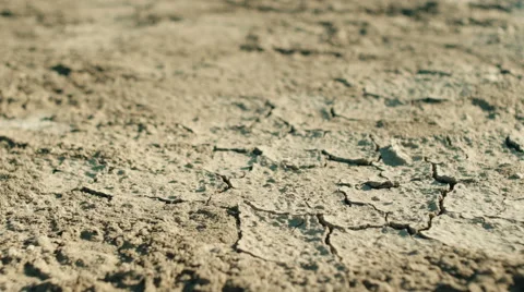 Cracked desert soil Видео 67549548