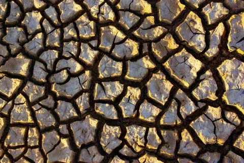 Cracked dirt Stock Photos