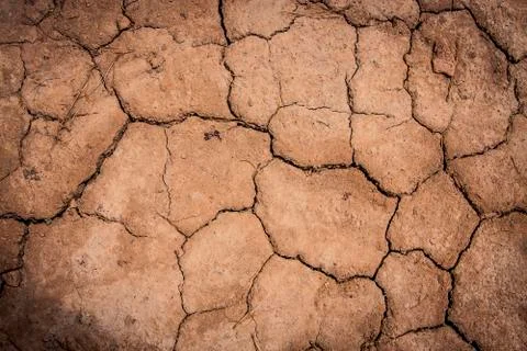 Cracked Dirt Stock Photos
