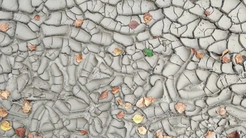 Cracked dried earth where there was a puddle, the texture of mud. Background Stockbeeldmateriaal 289529598